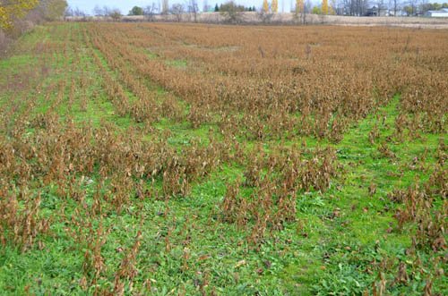 Property photo 9 - 80 Acres & Home - Property Offered in 4 Tracts from 2.3 to 30.0 Acres